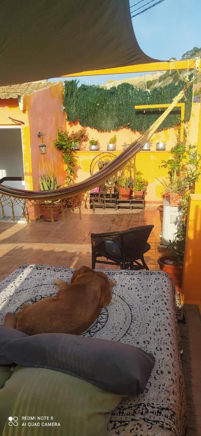شقة La Casita De Celia لقنت المظهر الخارجي الصورة