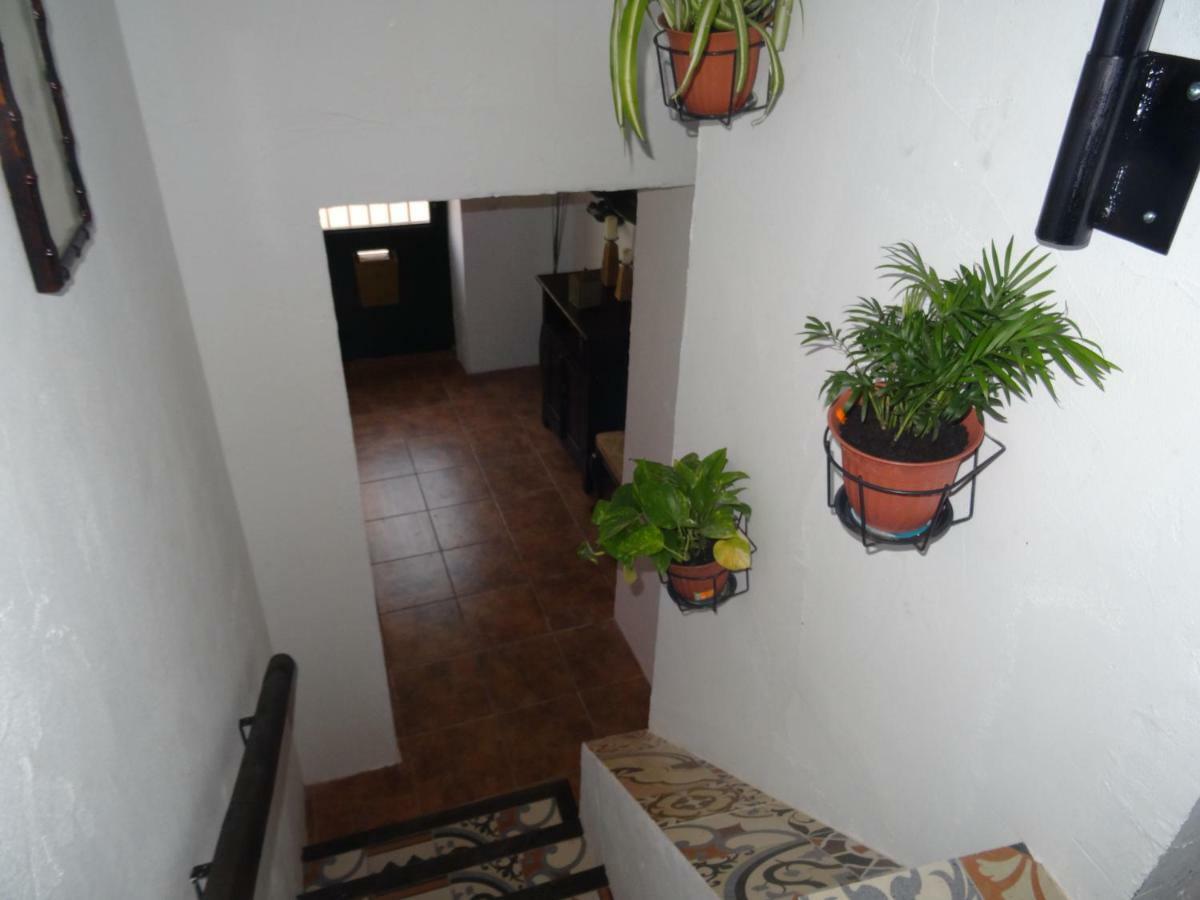 شقة La Casita De Celia لقنت المظهر الخارجي الصورة